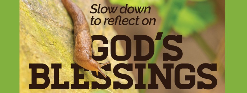 A picture of a snail on a leaf with the words "Slow down to reflect on God's blessings"