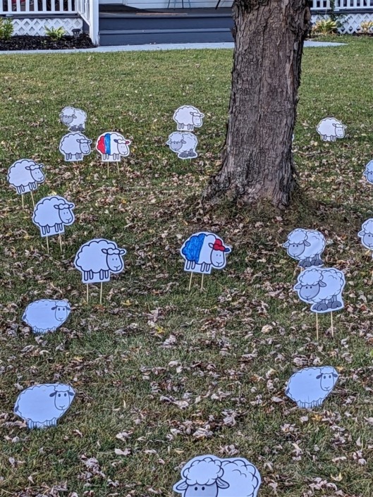 Pastor Appreciation Day including Buffalo Bills sheep! 10/2025